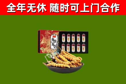 芜湖回收冬虫夏草价格